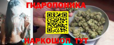 индика Новокубанск